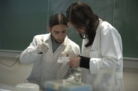 Investigación na Facultade de Bioloxía