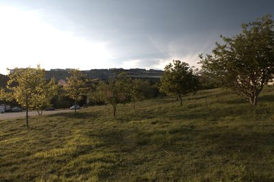 IMG_8979